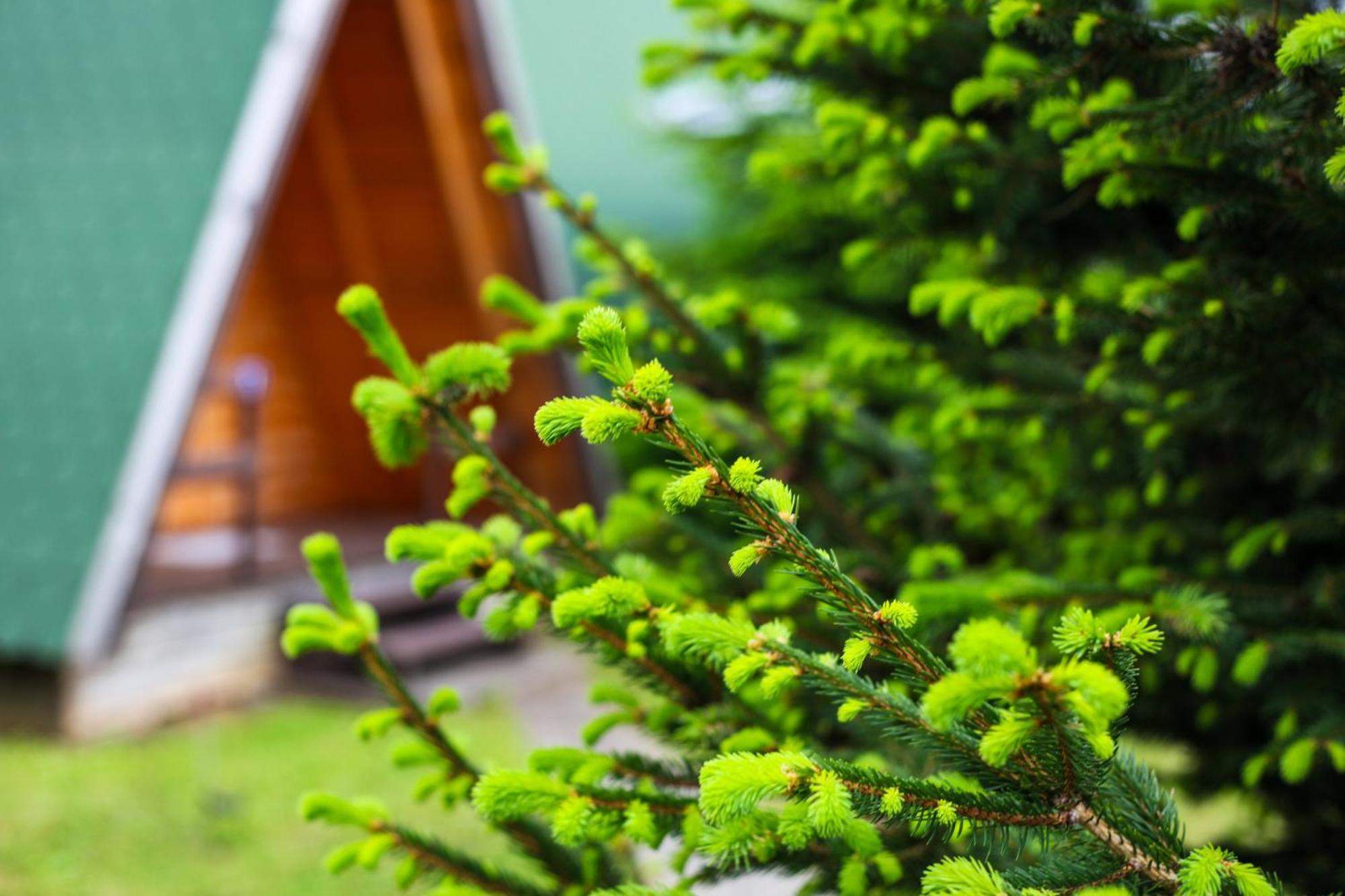 Rooms & Glamping Lana Haus Licko Petrovo Selo Εξωτερικό φωτογραφία